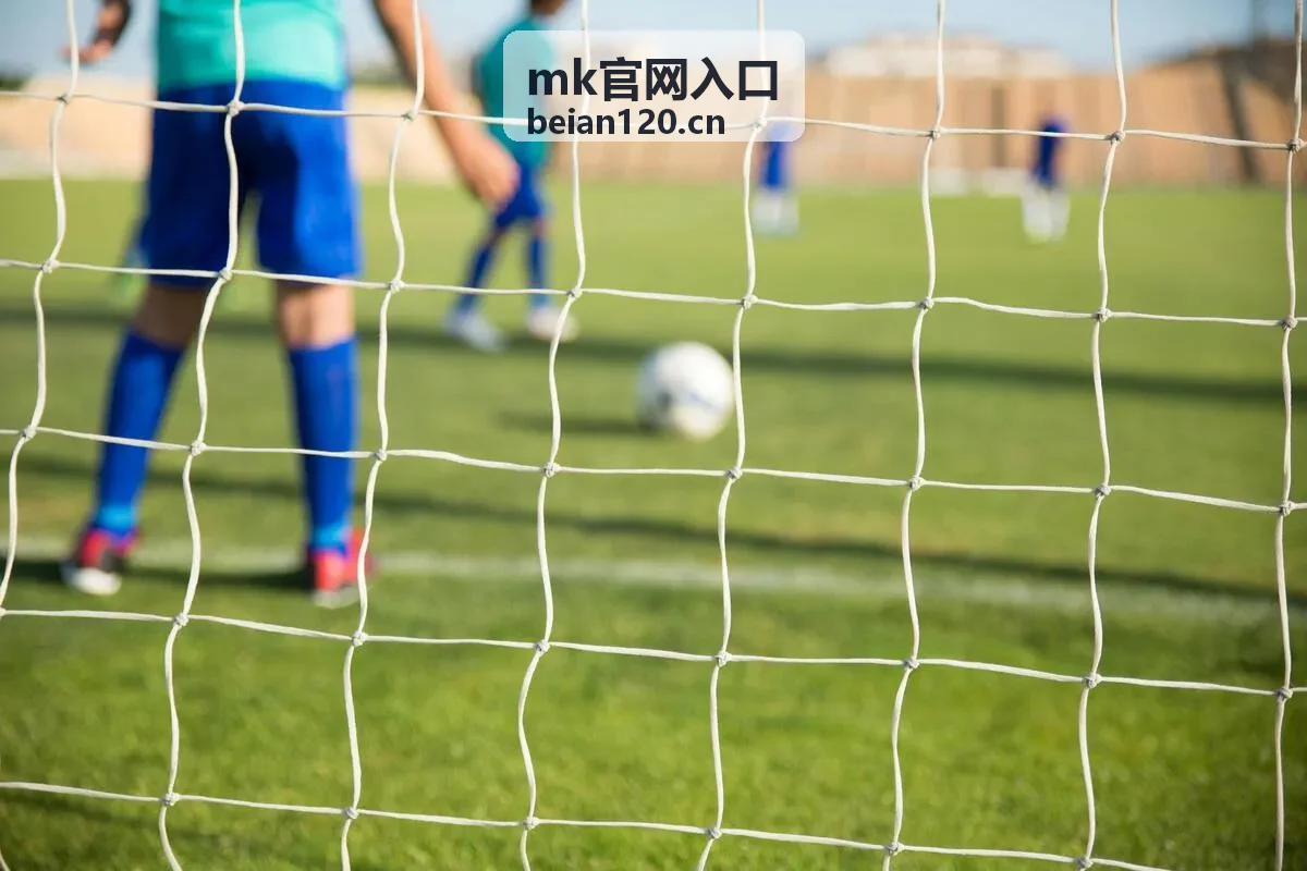 mk官网入口 会员权益等级差异说明封面