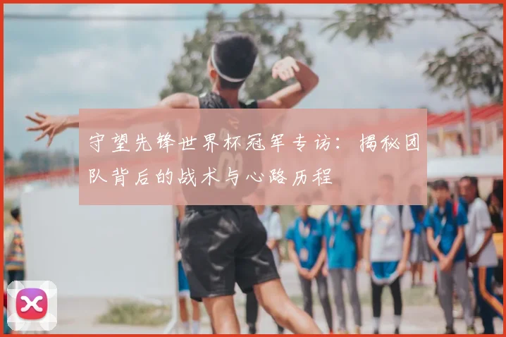 守望先锋世界杯冠军专访：揭秘团队背后的战术与心路历程