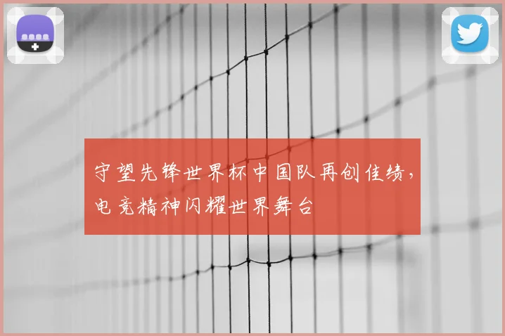 守望先锋世界杯中国队再创佳绩，电竞精神闪耀世界舞台
