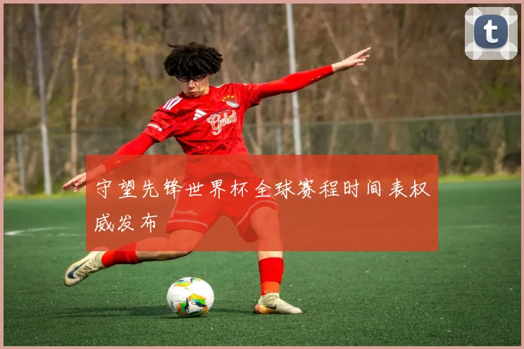 守望先锋世界杯全球赛程时间表权威发布