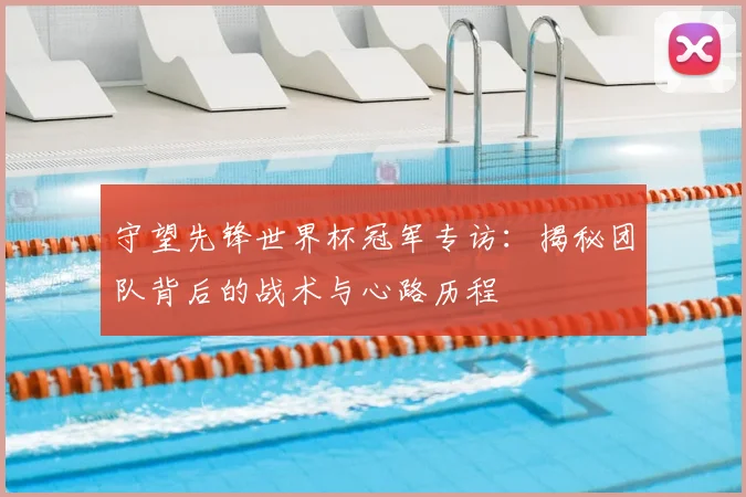 守望先锋世界杯冠军专访：揭秘团队背后的战术与心路历程