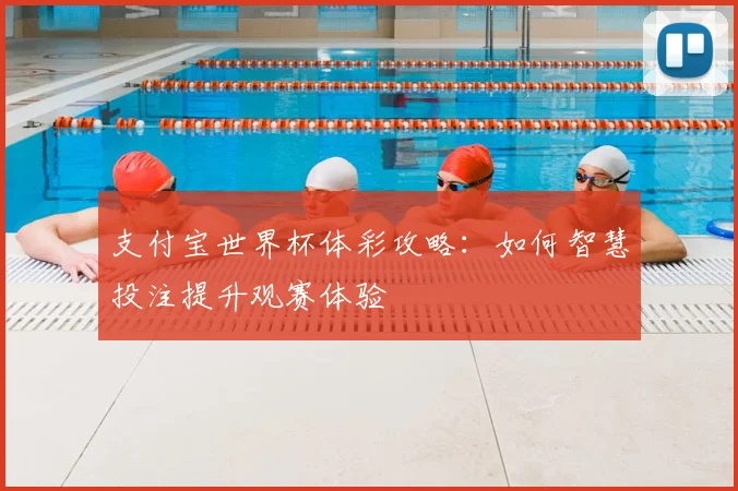 支付宝世界杯体彩攻略：如何智慧投注提升观赛体验