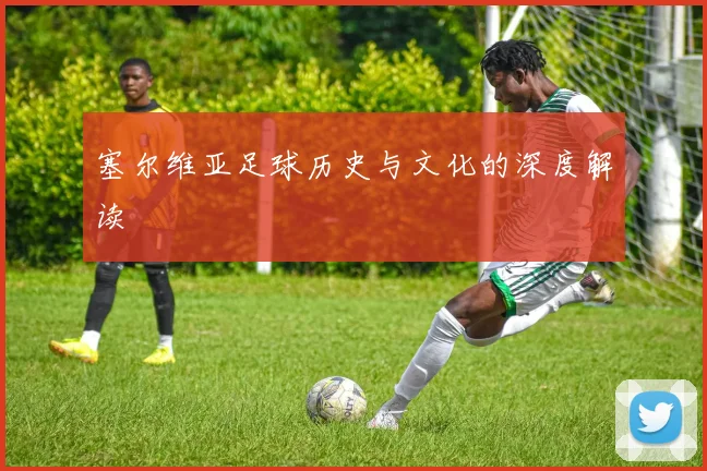 塞尔维亚足球历史与文化的深度解读