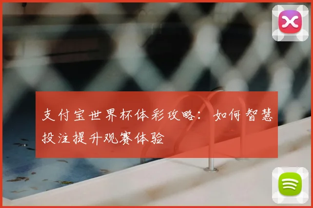 支付宝世界杯体彩攻略：如何智慧投注提升观赛体验