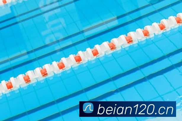 开云手机入口官网APP 封面图